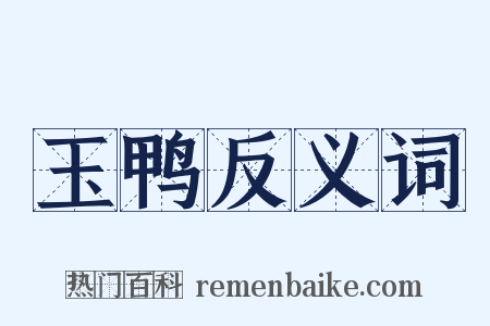 玉鸭反义词是什么意思的图片